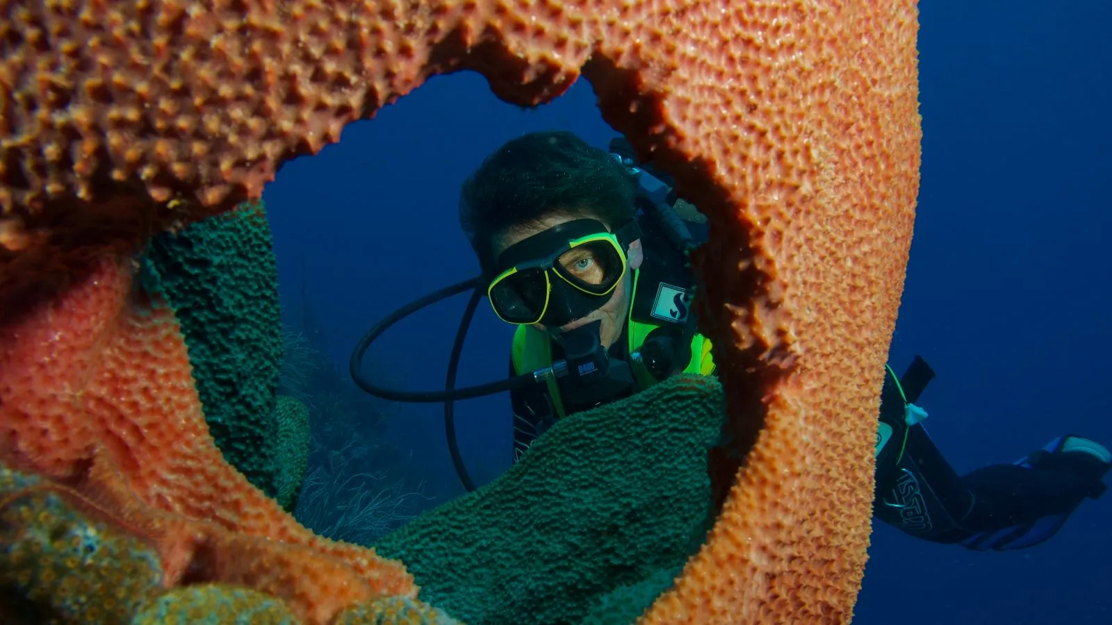 Underwater shot of a scuba diver surrounded by vibrant coral in the Caribbean sea.